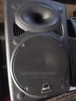 Professional Public Address Wireless System