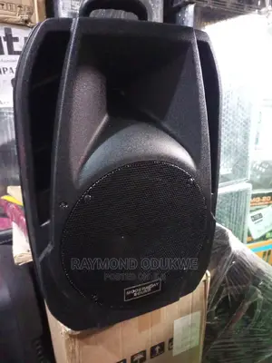 Heavy Duty Big 15" Wireless Speaker