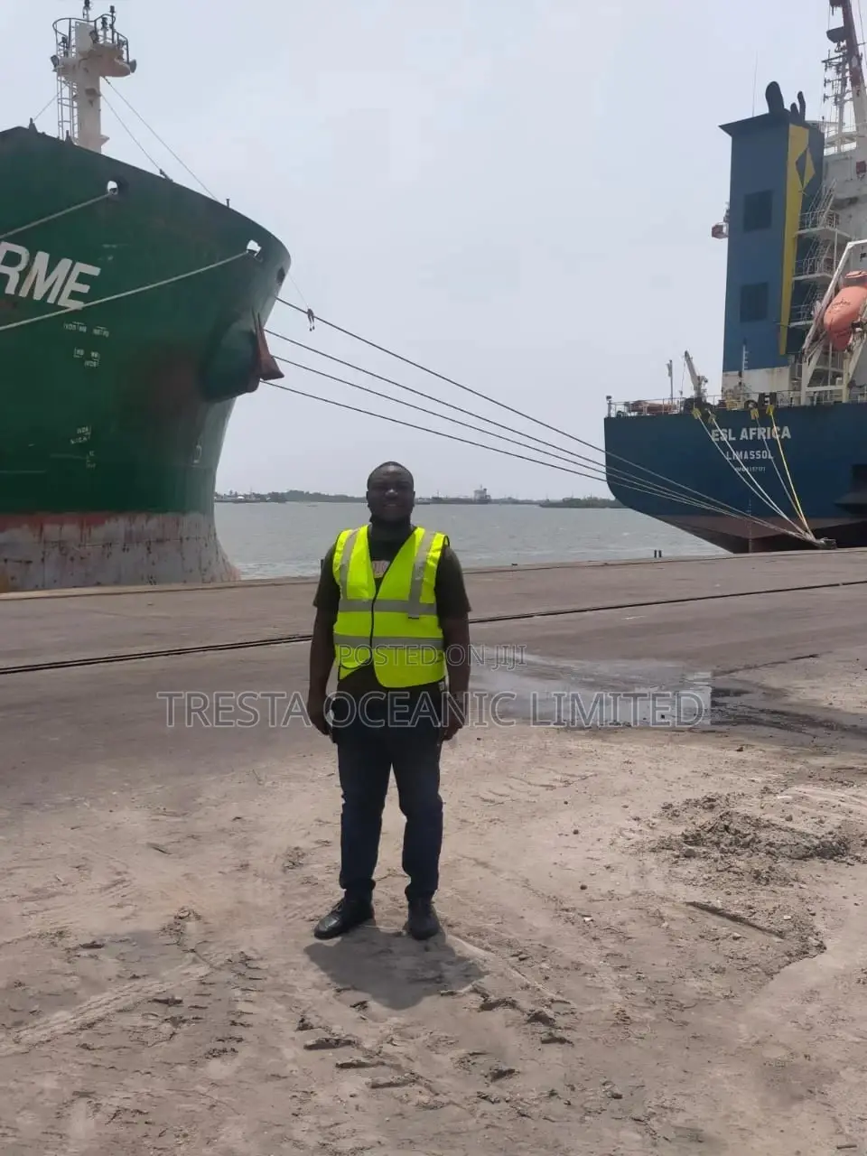 Clearing And Forwarding Agent