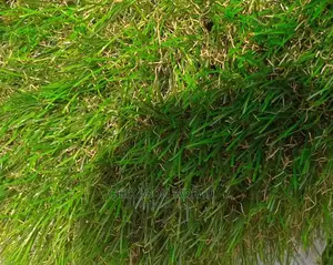 Dead Grass Football