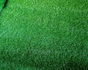 Best Synthetic Grass Carpets