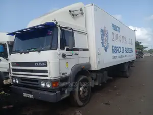 DAF 2300 Spring Spiring 30feet 2009 White