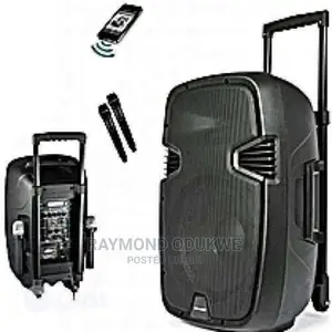 Professional 15" Bluetooth Rechargeable Speakers