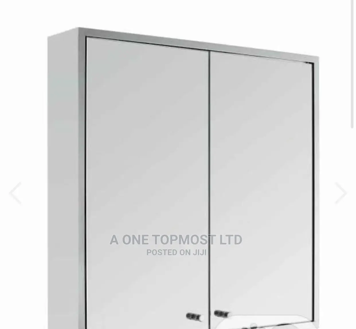 2 Doors Cabinet Stainless Mirror