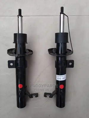 Ford Shock Absorber