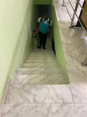 Indoor Residual Smoke Fumigation