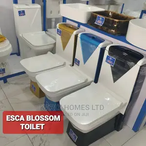 Original England Executive (Esca Blossom) Wc Sets
