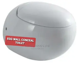 Original England Executive (Egg Wall) Concealed Wc Sets