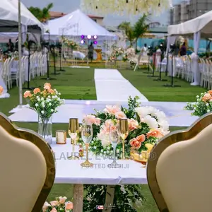 Out Door Wedding Decoration Tent Canopy Decor