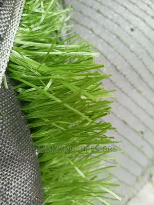 Artificial Grass