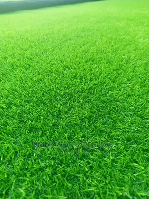 25mm Artificial Grass