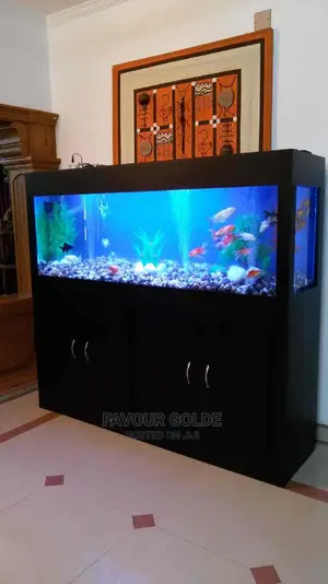 Living Room Aquarium