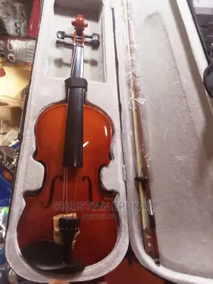 Professional Violin