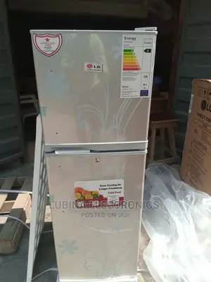 Brand New LG 300L Refrigerator/External Comppresion/Silver