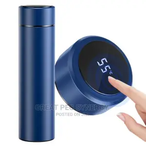 Temperature Thermo Flask (500ml)