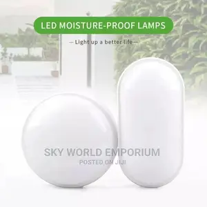 Oval IP65 Waterproof Outdoor Lamp
