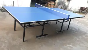 Indoor Table Tennis Table With Rollers