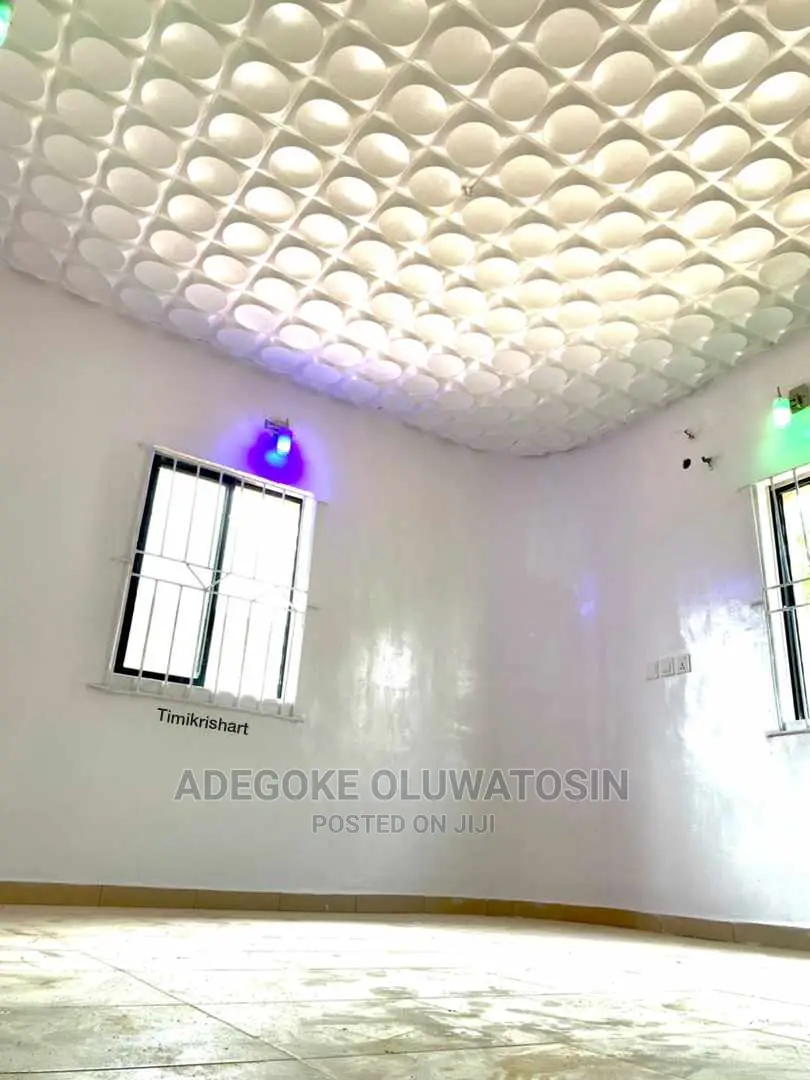 Professional Painter and Wallpaper Installer