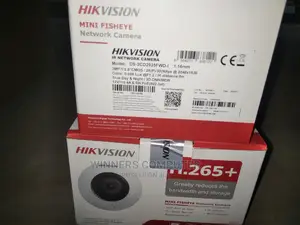 Hikvision Fisheye Fixed Dome Camera