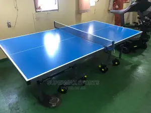 Outdoor Table Tennis
