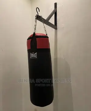 Punching Bag With Hanger ( Everlast )