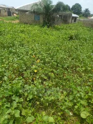 Cheap Plots of Land in Mowe Ogun State Diamond Estate