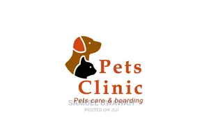 Logo Design, Company Profile, Write Proposal & Business Plan