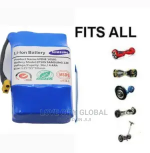 Overboard Battery Scooter 20A 36v 4400mah Rechargeable