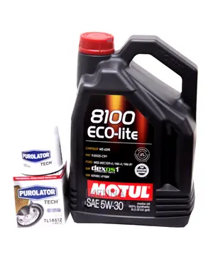 Motul 6100 Save- Lite 5w- 30 and Purolator Oil Filter