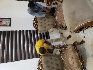 Upholstery/Sofa/Carpet and Rug Cleaning