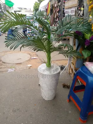 Plants and Flower