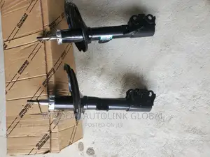 Front Shock Absorber for Lexus Rx330/350 2005-2009 Briscoe