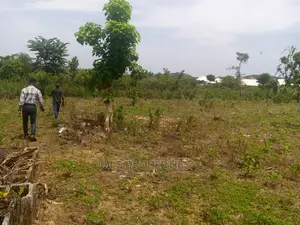 500sqm Estate Land for a Proposed 3 Bedroom Bungalow With Bq