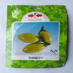 Garden Egg Seed Kibibi F1