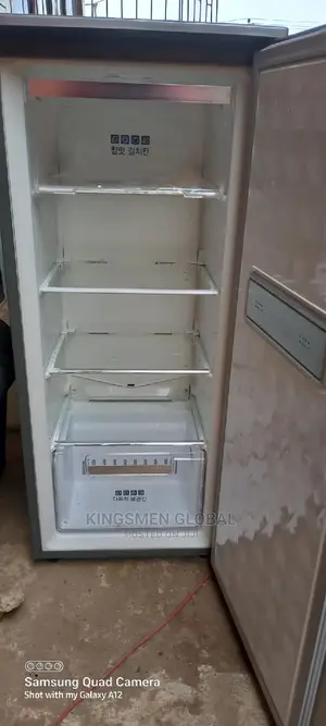 Samsung Standing Freezer