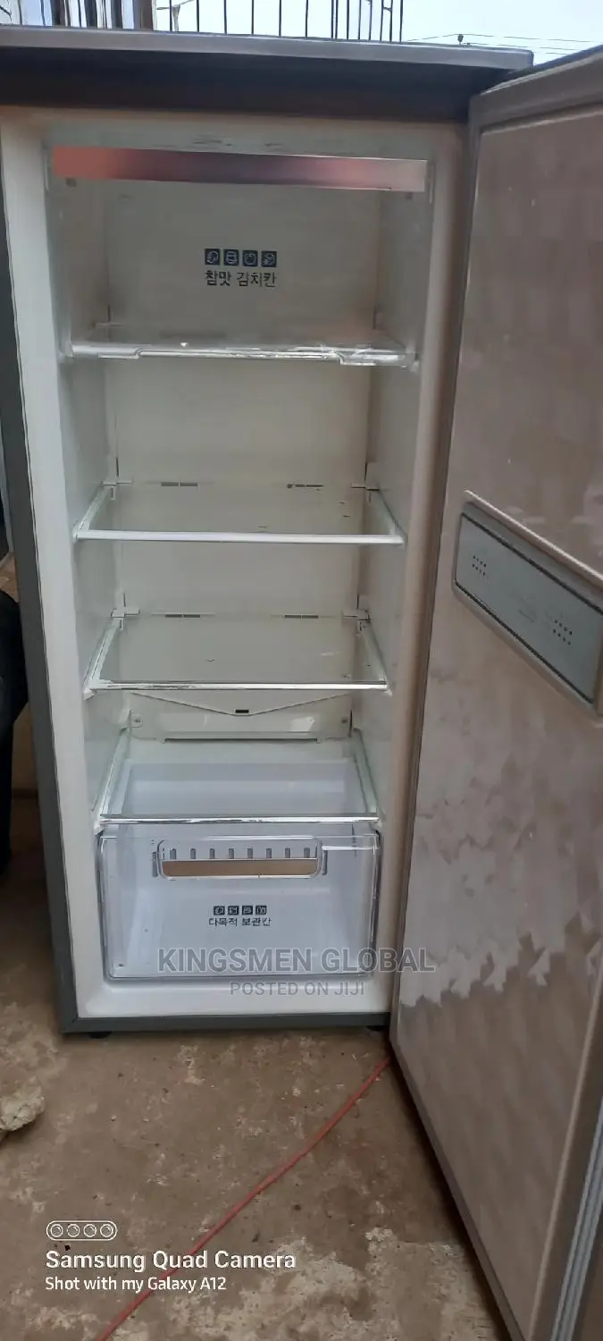 Samsung Standing Freezer