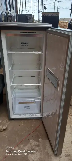 Samsung Standing Freezer
