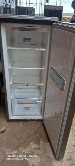 Samsung Standing Freezer