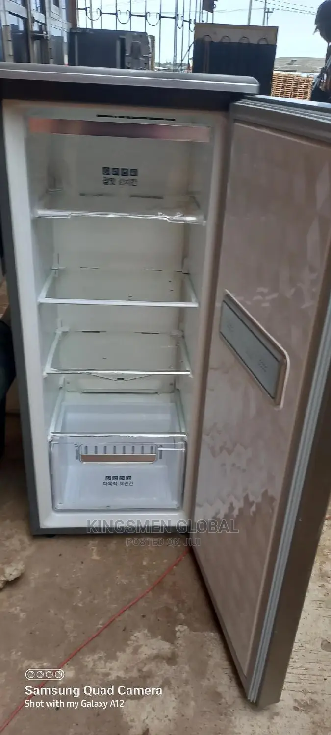 Samsung Standing Freezer