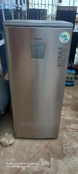 Samsung Standing Freezer