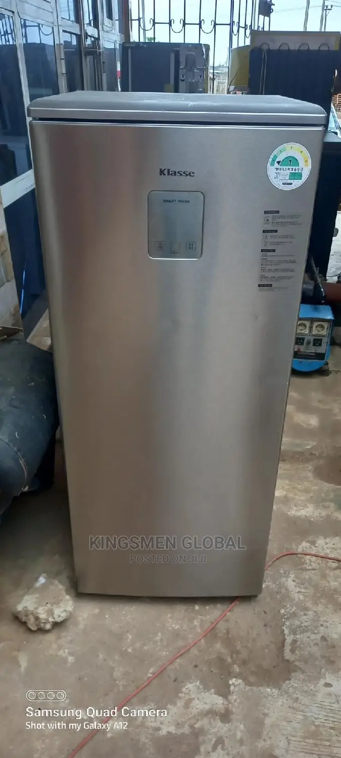 Samsung Standing Freezer