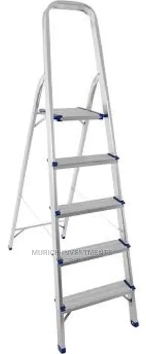 Aluminum 5-Step Ladder (Silver, 1 Piece)