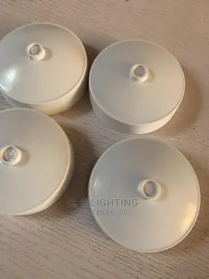 Ceiling Rose