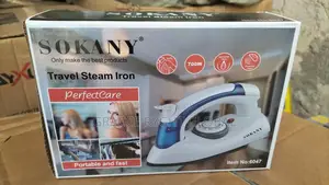 Electric Travel Iron