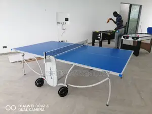 Outdoor Foldable Table Tennis