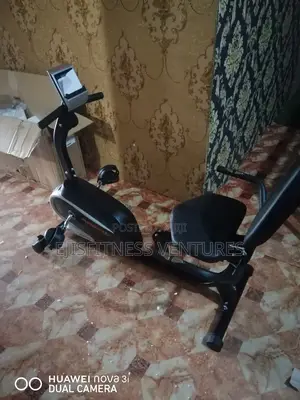 Recumbent Bike