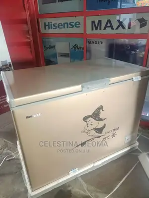 Snowsea Freezer 350 Litres