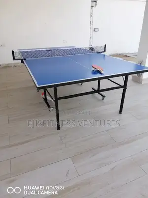 Outdoor Table Tennis