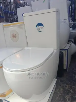 Quality Masters Top Flush Designed Ceramic Water Closet.