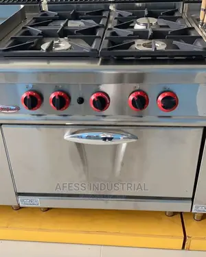 Industrial and Commercial Gas Oven
